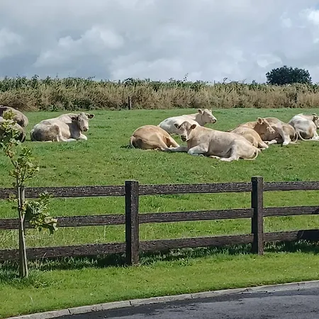 Country Haven Eircode H54 Ak31 * Galway