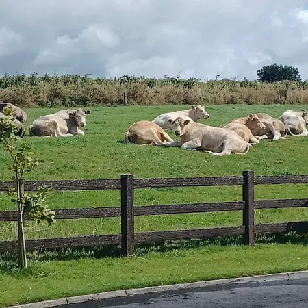 Country Haven Eircode H54 Ak31 * Galway