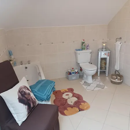 Country Haven Eircode H54 Ak31 Homestay *