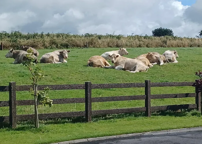 Country Haven Eircode H54 Ak31 * Galway