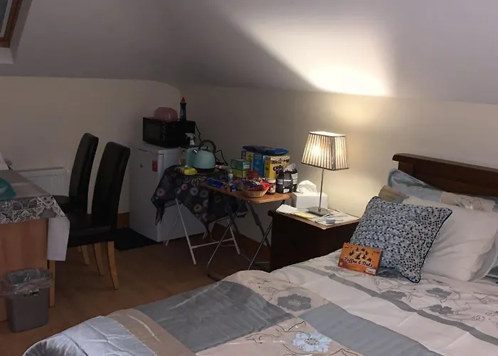 Homestay Country Haven Eircode H54 Ak31 Galway