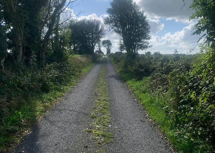 Country Haven Eircode H54 Ak31 Homestay Galway